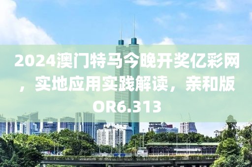 2024澳門特馬今晚開獎億彩網(wǎng)，實地應用實踐解讀，親和版OR6.313