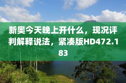 2024年11月24日 第29頁