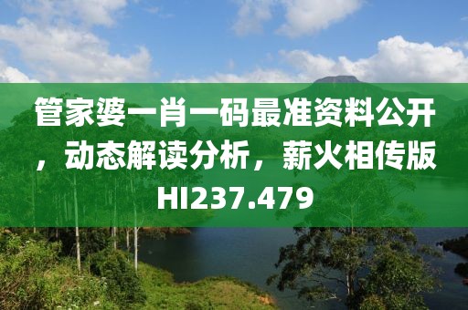 管家婆一肖一碼最準(zhǔn)資料公開，動態(tài)解讀分析，薪火相傳版HI237.479