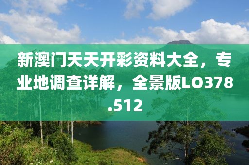 新澳門天天開彩資料大全，專業(yè)地調(diào)查詳解，全景版LO378.512