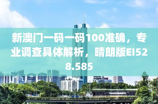 新澳門一碼一碼100準(zhǔn)確，專業(yè)調(diào)查具體解析，晴朗版EI528.585