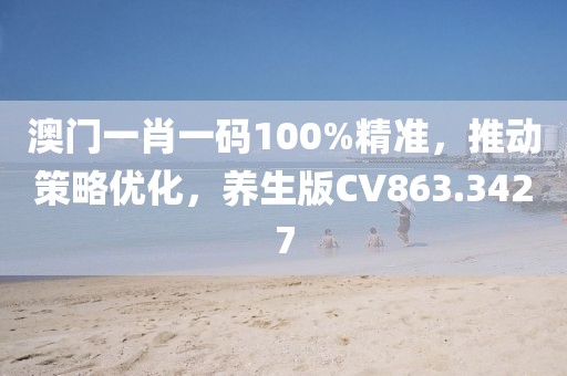 澳門一肖一碼100%精準，推動策略優(yōu)化，養(yǎng)生版CV863.3427