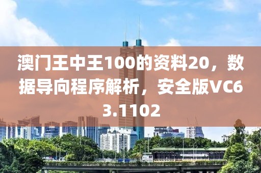 澳門王中王100的資料20，數(shù)據(jù)導(dǎo)向程序解析，安全版VC63.1102