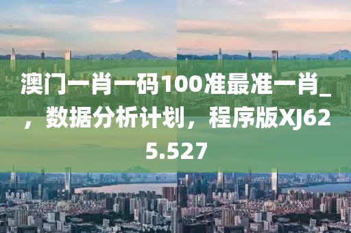 澳門一肖一碼100準(zhǔn)最準(zhǔn)一肖_，數(shù)據(jù)分析計劃，程序版XJ625.527