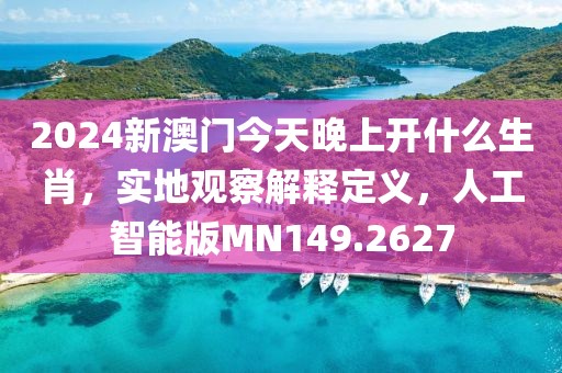 2024新澳門今天晚上開什么生肖，實地觀察解釋定義，人工智能版MN149.2627