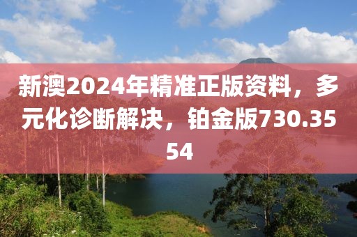 新澳2024年精準(zhǔn)正版資料，多元化診斷解決，鉑金版730.3554