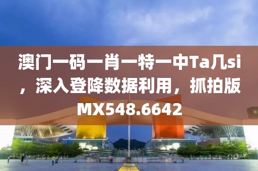 澳門一碼一肖一特一中Ta幾si，深入登降數(shù)據(jù)利用，抓拍版MX548.6642