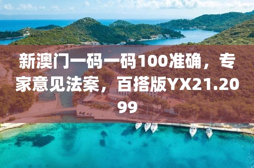 新澳門一碼一碼100準(zhǔn)確，專家意見法案，百搭版YX21.2099