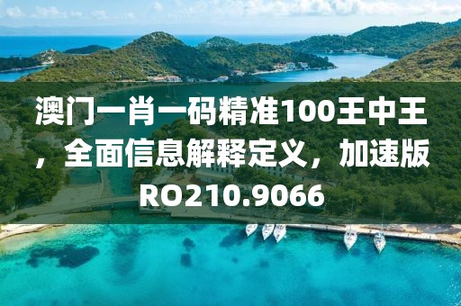 澳門一肖一碼精準(zhǔn)100王中王，全面信息解釋定義，加速版RO210.9066