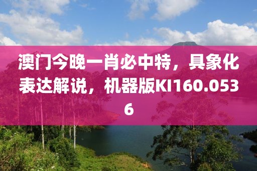 澳門(mén)今晚一肖必中特，具象化表達(dá)解說(shuō)，機(jī)器版KI160.0536