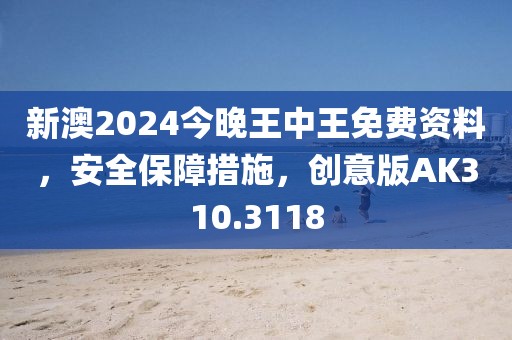 新澳2024今晚王中王免費資料，安全保障措施，創(chuàng)意版AK310.3118