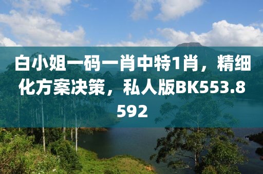 白小姐一碼一肖中特1肖，精細(xì)化方案決策，私人版BK553.8592