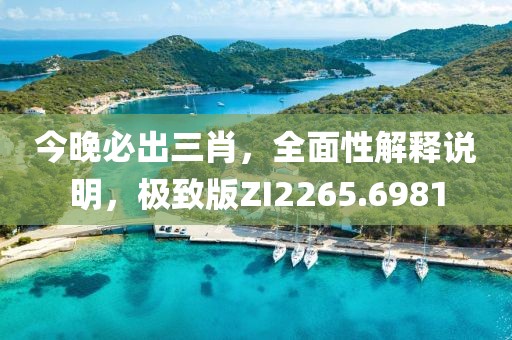 今晚必出三肖，全面性解釋說明，極致版ZI2265.6981