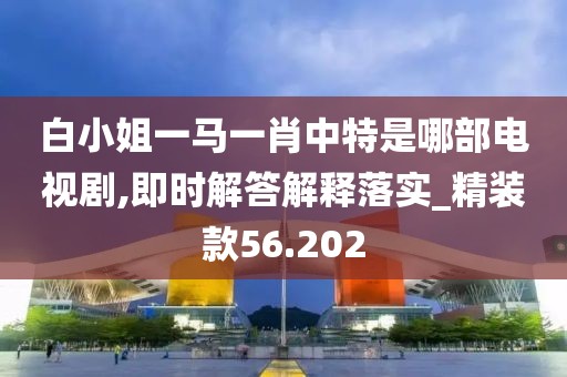 白小姐一馬一肖中特是哪部電視劇,即時解答解釋落實(shí)_精裝款56.202