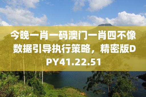 今晚一肖一碼澳門一肖四不像 數(shù)據(jù)引導(dǎo)執(zhí)行策略，精密版DPY41.22.51