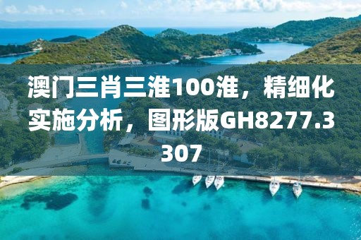 澳門三肖三淮100淮，精細(xì)化實(shí)施分析，圖形版GH8277.3307