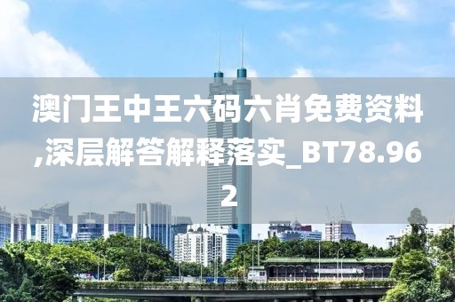 澳門王中王六碼六肖免費資料,深層解答解釋落實_BT78.962