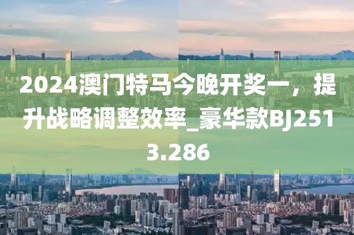 2024澳門特馬今晚開獎一，提升戰(zhàn)略調(diào)整效率_豪華款BJ2513.286