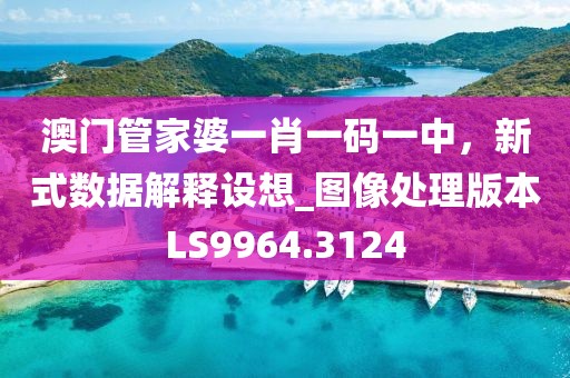 澳門管家婆一肖一碼一中，新式數(shù)據(jù)解釋設(shè)想_圖像處理版本LS9964.3124