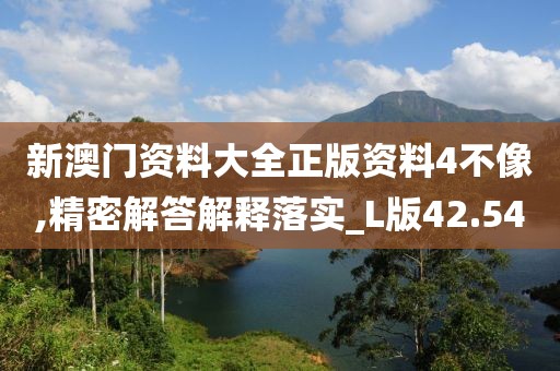 新澳門資料大全正版資料4不像,精密解答解釋落實_L版42.54