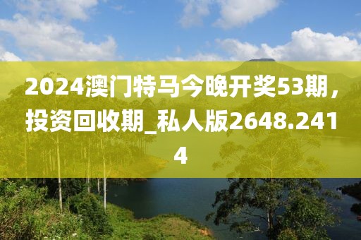 2024澳門特馬今晚開獎53期，投資回收期_私人版2648.2414