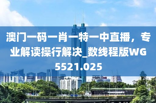 澳門一碼一肖一特一中直播，專業(yè)解讀操行解決_數(shù)線程版WG5521.025