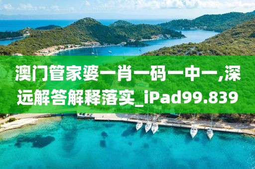 澳門(mén)管家婆一肖一碼一中一,深遠(yuǎn)解答解釋落實(shí)_iPad99.839