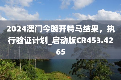 2024澳門今晚開特馬結(jié)果，執(zhí)行驗證計劃_啟動版CR453.4265