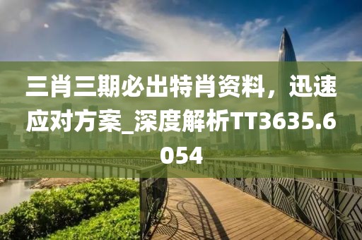 三肖三期必出特肖資料，迅速應(yīng)對(duì)方案_深度解析TT3635.6054