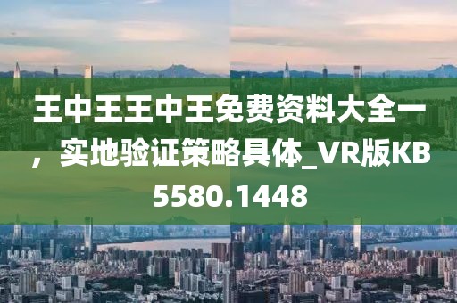 王中王王中王免費(fèi)資料大全一，實(shí)地驗(yàn)證策略具體_VR版KB5580.1448