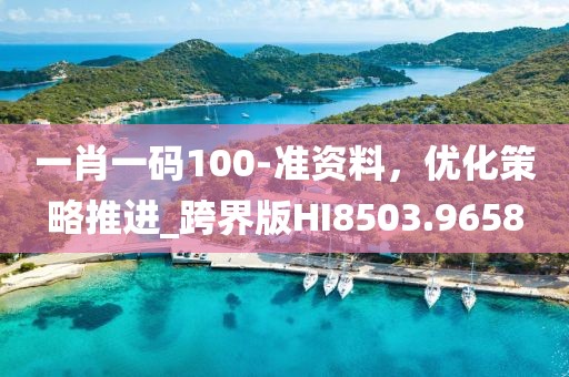 一肖一碼100-準(zhǔn)資料，優(yōu)化策略推進(jìn)_跨界版HI8503.9658