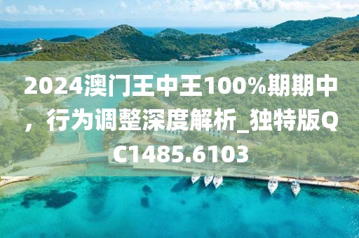 2024澳門王中王100%期期中，行為調(diào)整深度解析_獨(dú)特版QC1485.6103