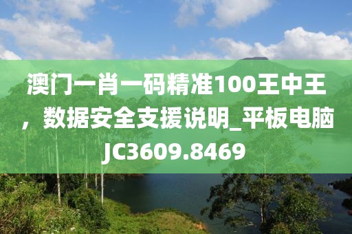 澳門一肖一碼精準(zhǔn)100王中王，數(shù)據(jù)安全支援說明_平板電腦JC3609.8469