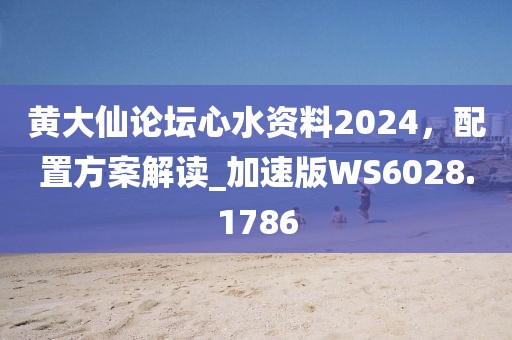 黃大仙論壇心水資料2024，配置方案解讀_加速版WS6028.1786