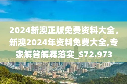 2024新澳正版免費(fèi)資料大全，新澳2024年資料免費(fèi)大全,專家解答解釋落實(shí)_S72.973