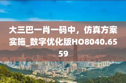 大三巴一肖一碼中，仿真方案實(shí)施_數(shù)字優(yōu)化版HO8040.6559