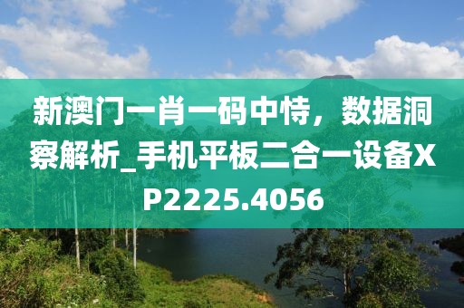 新澳門一肖一碼中恃，數(shù)據(jù)洞察解析_手機(jī)平板二合一設(shè)備XP2225.4056