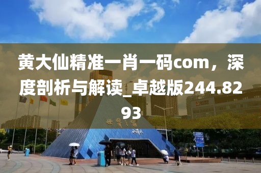 黃大仙精準一肖一碼com，深度剖析與解讀_卓越版244.8293