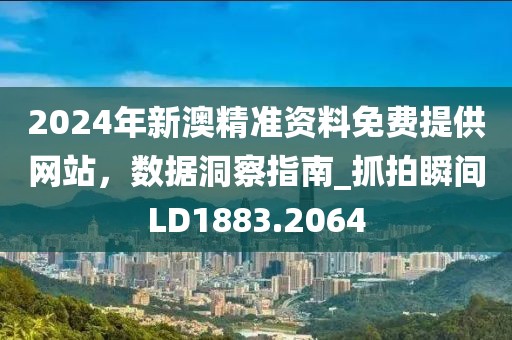 2024年新澳精準(zhǔn)資料免費提供網(wǎng)站，數(shù)據(jù)洞察指南_抓拍瞬間LD1883.2064