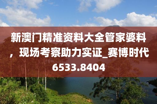 新澳門精準資料大全管家婆料，現(xiàn)場考察助力實證_賽博時代6533.8404