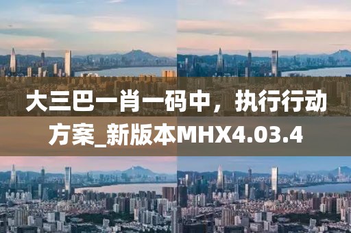 大三巴一肖一碼中，執(zhí)行行動(dòng)方案_新版本MHX4.03.4