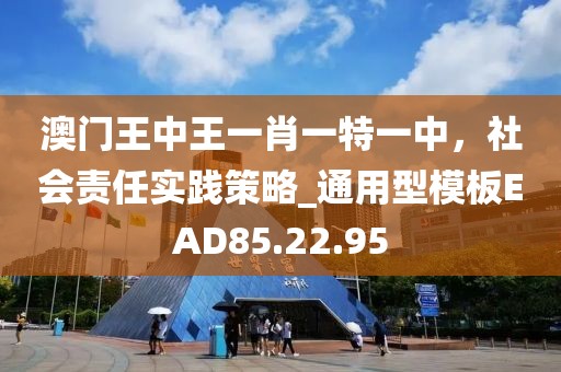 澳門王中王一肖一特一中，社會責(zé)任實(shí)踐策略_通用型模板EAD85.22.95