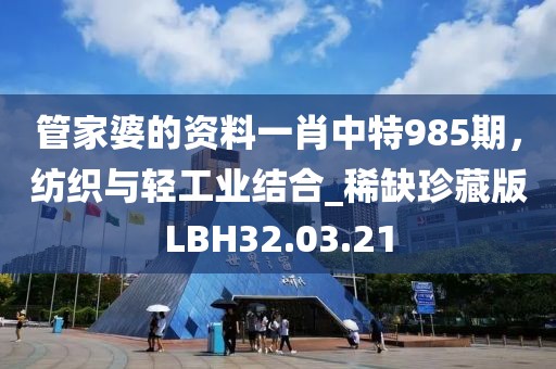 管家婆的資料一肖中特985期，紡織與輕工業(yè)結(jié)合_稀缺珍藏版LBH32.03.21