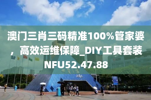 澳門三肖三碼精準100%管家婆，高效運維保障_DIY工具套裝NFU52.47.88