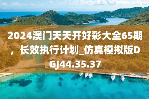 2024澳門天天開好彩大全65期，長效執(zhí)行計劃_仿真模擬版DGJ44.35.37