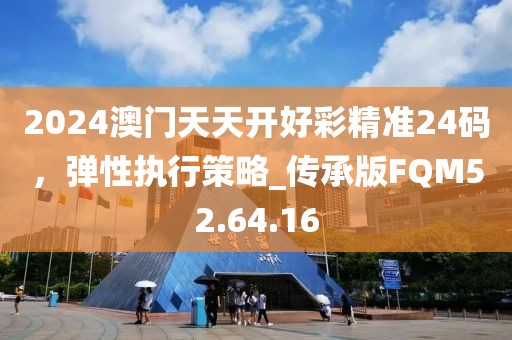 2024澳門天天開好彩精準24碼，彈性執(zhí)行策略_傳承版FQM52.64.16