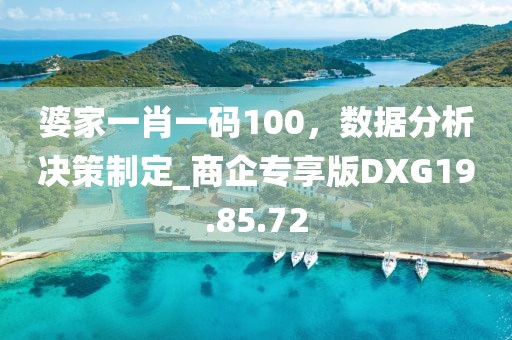 婆家一肖一碼100，數(shù)據(jù)分析決策制定_商企專享版DXG19.85.72