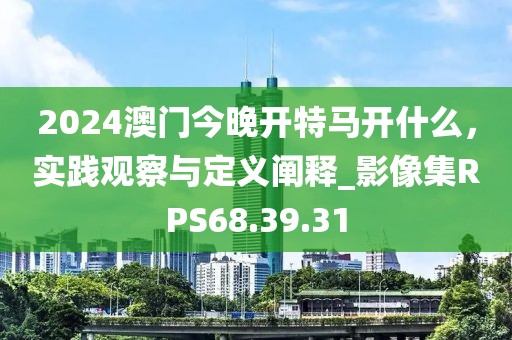 2024澳門今晚開(kāi)特馬開(kāi)什么，實(shí)踐觀察與定義闡釋_影像集RPS68.39.31