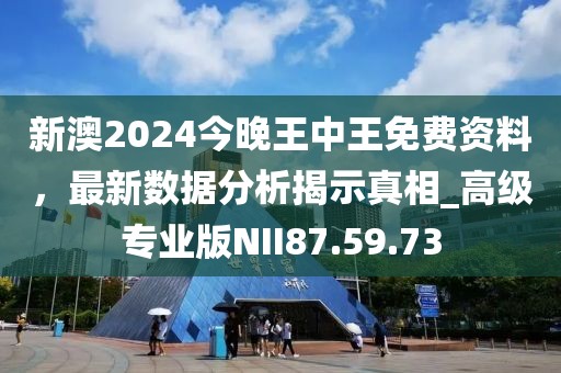 新澳2024今晚王中王免費(fèi)資料，最新數(shù)據(jù)分析揭示真相_高級(jí)專業(yè)版NII87.59.73