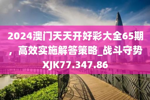 2024澳門天天開好彩大全65期，高效實施解答策略_戰(zhàn)斗守勢XJK77.347.86